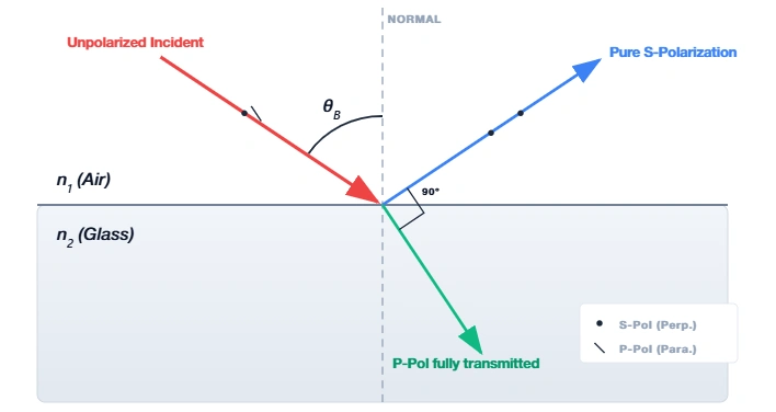 Diagram illustrating Brewster's angle reflection